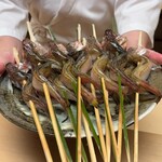 徳ㇵ本也 - ハタハタ