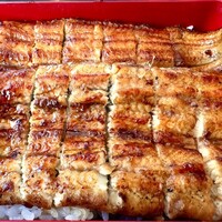 鰻 若松 - 