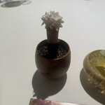 ラ・ヴァガボンド - 