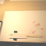 鮨棗 - コスモス（向かいの人と絵が違ったよ！）(2014年9月)