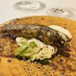 ランテルナマッサ - 常盤目光 うぐいす四葉 発酵キャベツ