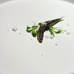 L.A.F - 稚鮎 タプナード パクチー