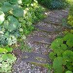 アジア屋台ごはん 五五吉食堂 - 