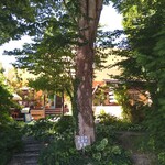 アジア屋台ごはん 五五吉食堂 - 