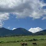 蒜山酪農農協ひるぜんジャージーランド  - 