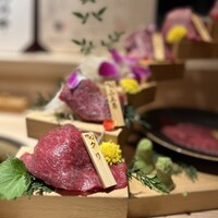 焼肉割烹 YP流 宗右衛門町本店 - 