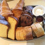 LAGOON TOOTH TOOTH - 