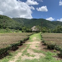伊勢宮川の里 鄙茅 - 