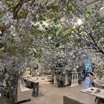 HAUTE COUTURE BRUNCH - 