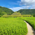 メインショップカフェ - 