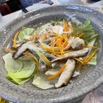 温泉宿 山荘わたり - 