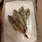 お食事処 こづち - 