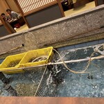 弁天島 山本亭 - カウンター前の生簀