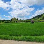 メインショップカフェ - 