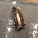 すし岩瀬 - Ｈ26.9 新子 天草産