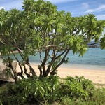 ザ･テラスクラブ アット ブセナ - ホテルの前のビーチは遊泳禁止です