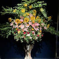 トゥールダルジャン 東京 - 一週間に一度の割合で変えている
