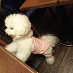 Rue Favart - 楽しい夜カフェ ＠１０pm