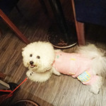 Rue Favart - チーズの匂いですネッ！