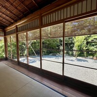 からすみ蕎麦 月と松 -  からすみ蕎麦 月と松 -