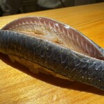 佐野鮨 - いわ志