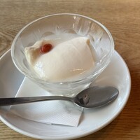 雪梅花 菜根譚 - 