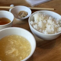 雪梅花 菜根譚 - 