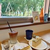 並木カフェ メタセコイア