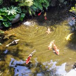 陣屋 賑わい亭 - 