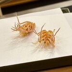 天ぷら 車 - 車海老の脚