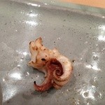 すし岩瀬 - 新いかのゲソ