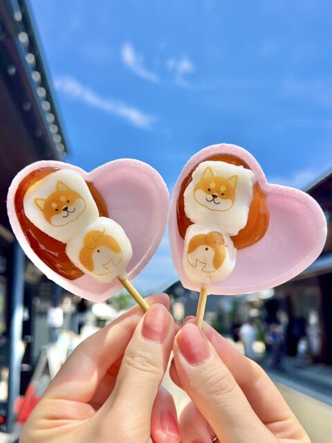 柴だんご 柴犬が作る幻の赤いキウイ🥝 on X: 