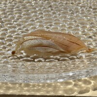 北新地 すし通 - 
