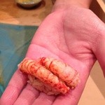 すし岩瀬 - Ｈ26.9 縞海老