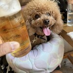 大衆食堂みゆき - ホッピー白割りで乾杯♪