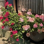 ららららーめんや - 