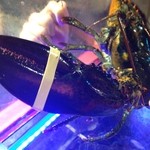 活海老バル orb - 