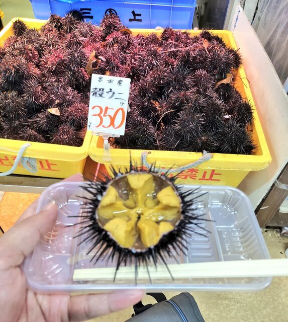 三上商店 - 宮古（その他）の写真