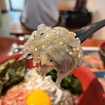 どろめ - 