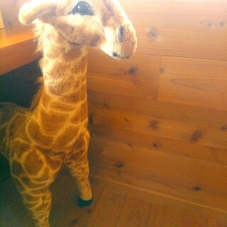 えほんとカフェ_2