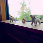 そば処　みかど - 窓際の風景。