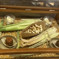 yokoyama - 