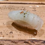 鮨 やざわ - 白いか♪