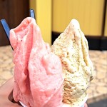 ソッリーゾ デル オルソ - 