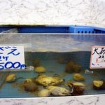 Umi No Eki Shioji - さざえは２個で５００円、大あさりも２個で５００円になっています。