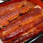 Unagi No Shimpo - 