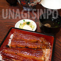 うなぎの新甫 - 