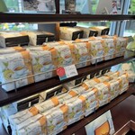 グランデフューメ草津 - 