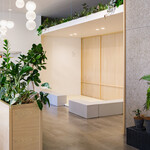 ホシ フルーツ - 