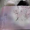 松福堂正一 - 